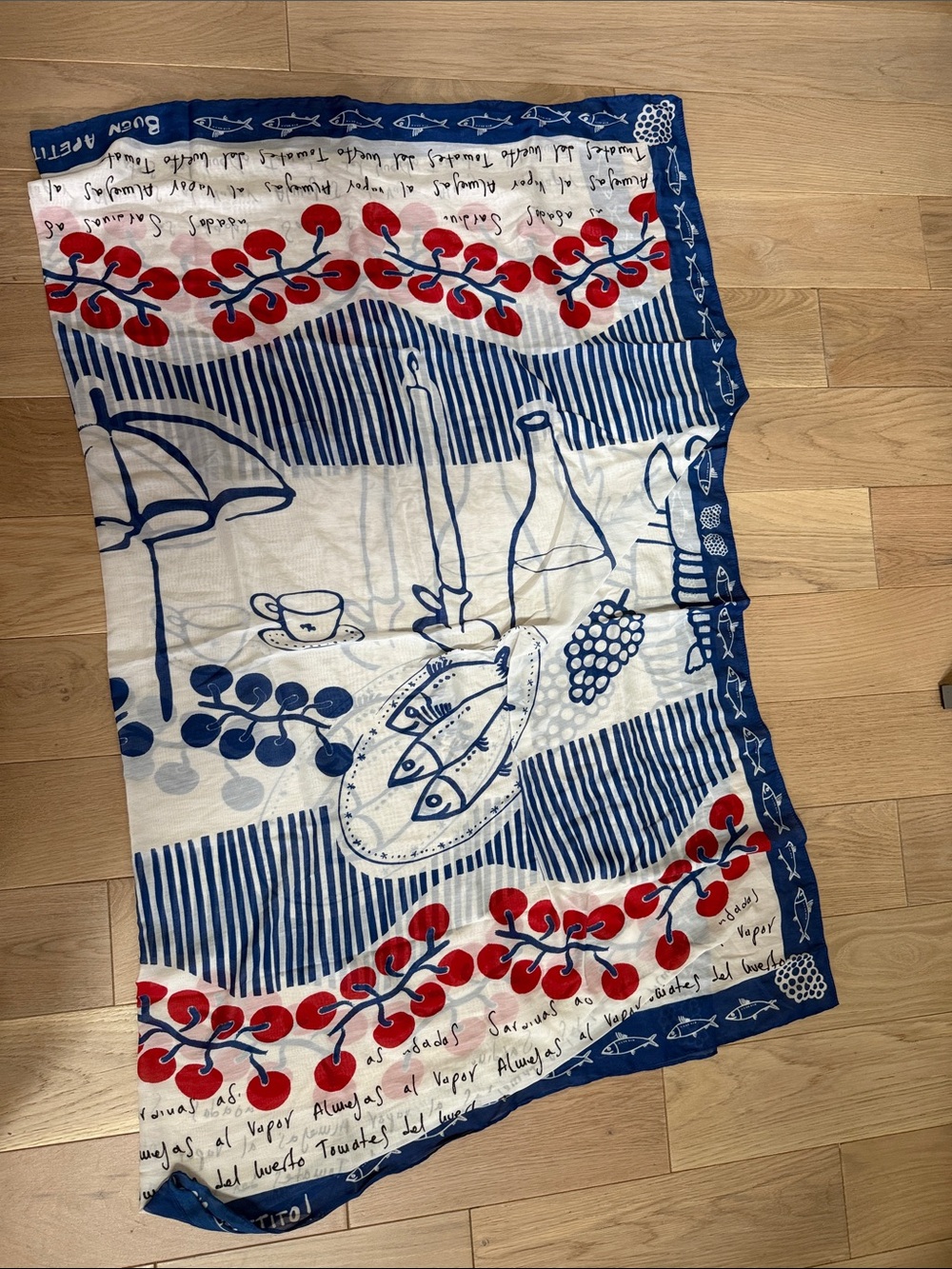 H&M Blue, Red & White Nautical Print Swim Sarong